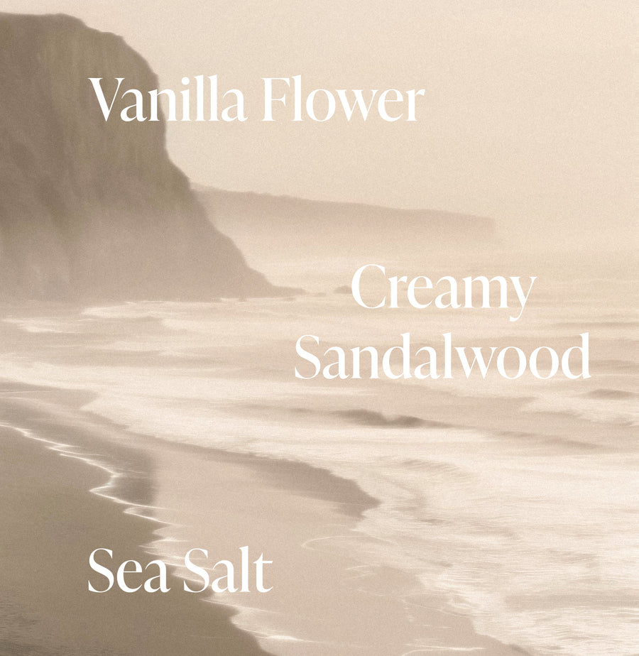 salt water vanilla fragrance notes