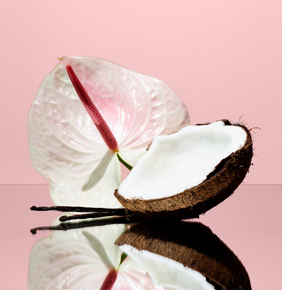 Pink Beach coconut fragrance botanicals