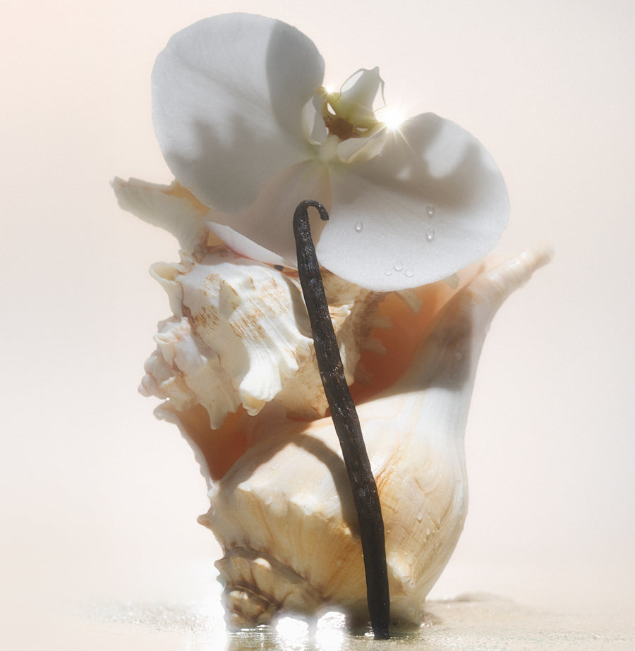 Salt Water Vanilla - Cleanse & Hydrate Bundle