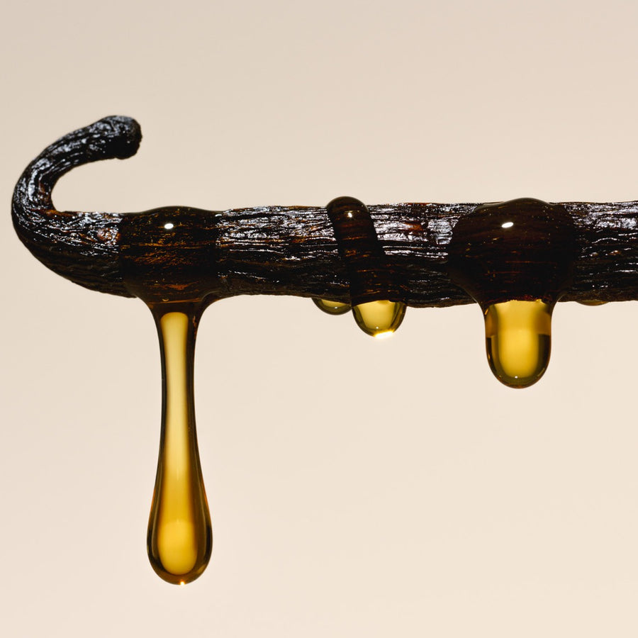 Salt Water Vanilla - Vault Set