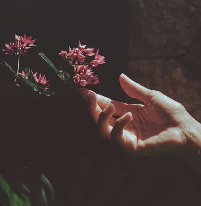 woman touching santal flower